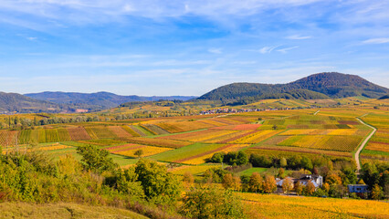 Obraz premium Autumn landscape with colorful fields in a rural area during clear weather