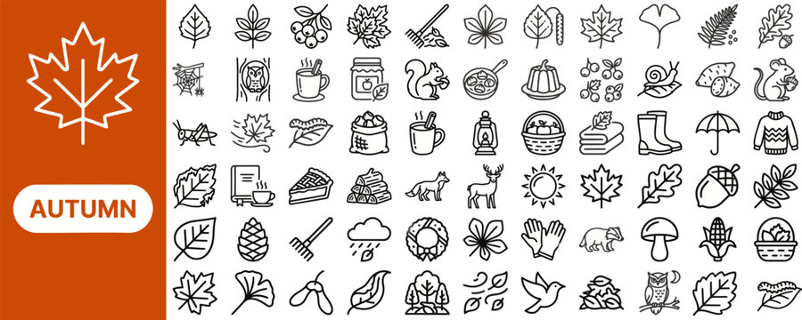 Autumn and Fall Season outline icon set. Featuring maple leaf, pumpkin, acorn, umbrella, and harvest symbols. Editable stroke vector icons for seasonal campaign website and autumn event app.