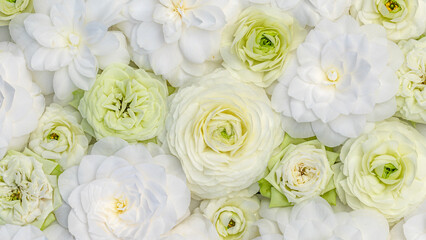 Fototapeta premium Flowers of white and light green arranged neatly in a floral display for decoration during springtime events and celebrations