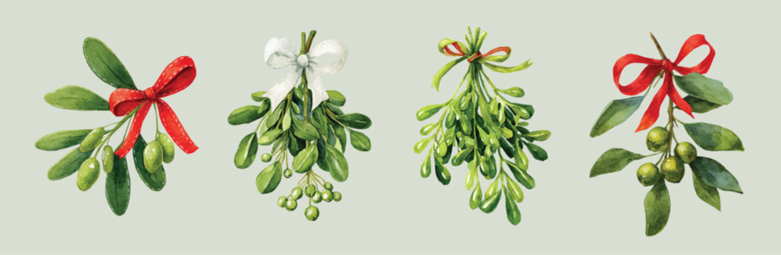 Vector set. Illustration of mistletoe with bow painting design set, Hand-painted style, vectorized, vector set available in EPS, Simple Hand-painted watercolor style