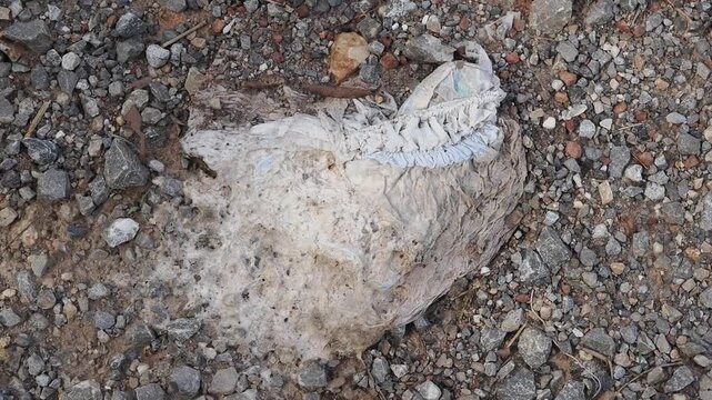 Used diapers discarded on the ground are dirty and constitute waste, posing a health hazard and attracting pests.