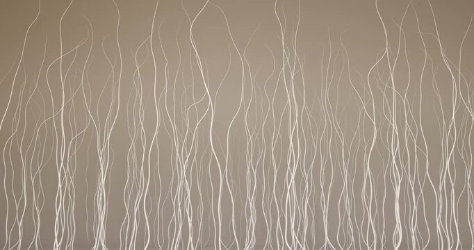 3D animation of the structure of thin white threads or hairs on a monochrome coffee-beige background. A lot of fine fibers and hairs undulate upward. The visual range is associated with the process of