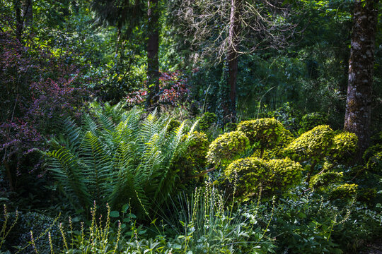 Parc avec arbres et arbustes