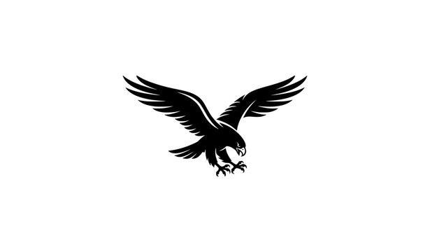 Black raptor bird silhouette vector illustration swooping eagle isolated on white