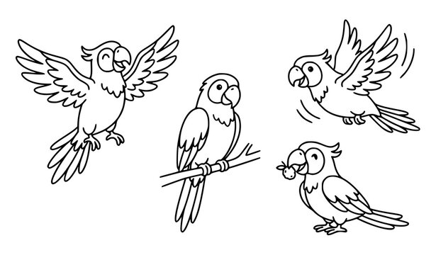 Cute cartoon parrots flying and sitting sketch vector collection