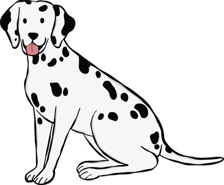 Dalmatian dog illustration in a sitting pose. ideal for stickers or graphic elements