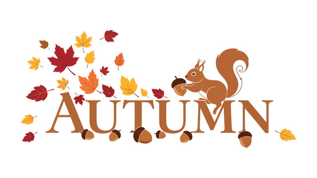 Autumn Harvest with Squirrel: A charming illustration depicts the word AUTUMN adorned with falling leaves in warm hues of red, orange, and yellow.