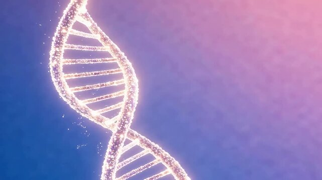 DNA double helix structure