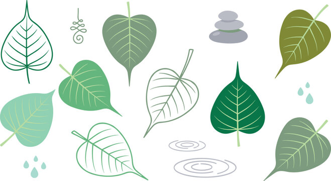 Bodhi Leaf and Zen Spa Vector Icon Set Featuring Sacred Fig Leaves Water Ripples Balanced Stones and Unalome Symbols for Meditation Wellness Designs