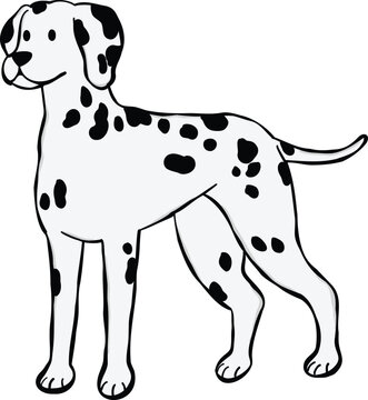 Adorable Dalmatian dog illustration standing and looking around attentively. ideal for stickers or graphic elements