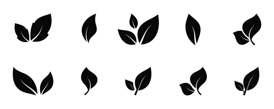 Graphic environment plant leaf icon art illustration. Vector leaf symbol used on apps like google maps to show eco friendly route. EPS 10.