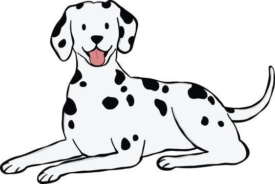 Adorable Dalmatian dog illustration in a lying-down pose. ideal for stickers or graphic elements