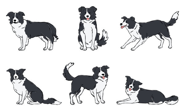 Set of cute Border Collie dog illustrations hand-drawn style