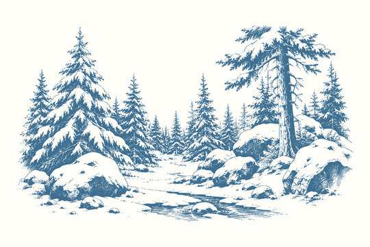 Vintage winter forest landscape vector illustration with engraved pine trees, snowy pathway scenery and natural wilderness composition