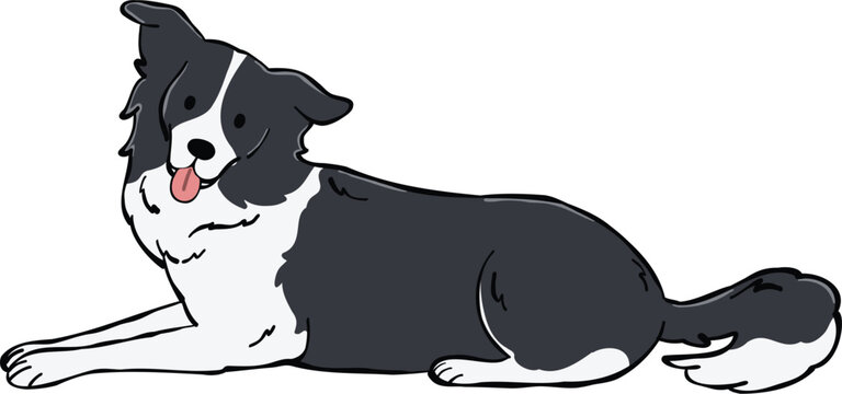 Cute Border Collie dog illustration lying down pose. ideal for stickers, elements and creative design projects