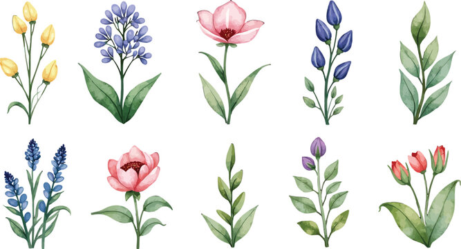 Assorted watercolor flowers including yellow buds bluebell magnolia rose tulip and lavender