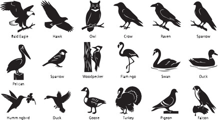 Obraz premium Collection of various bird silhouettes in a clean graphic illustration style