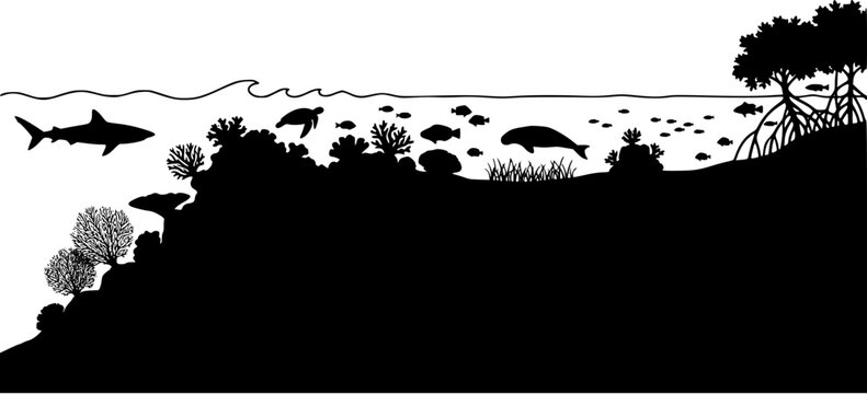 Underwater coral reef ecosystem silhouette with shark, sea turtle, manatee and mangrove trees