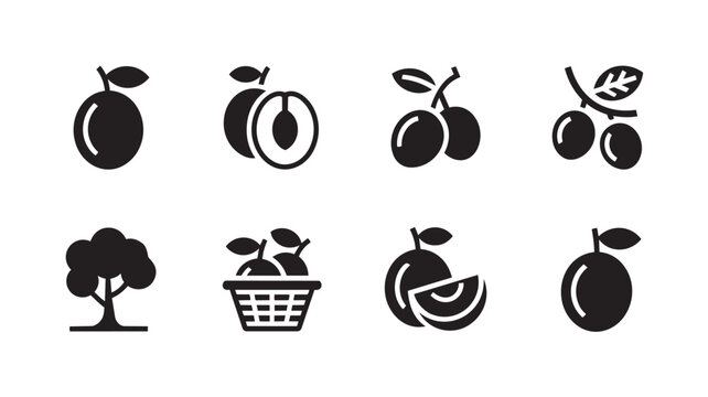 Set of plum fruit icons, vector illustration vector