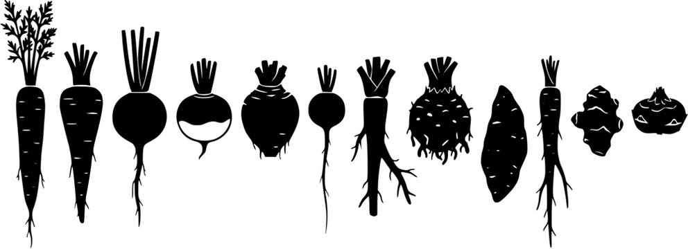 Set of black silhouettes of various root vegetables including carrots, beets, and radishes isolated on a white background