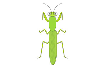 Fototapeta premium 緑色のカマキリのイラスト