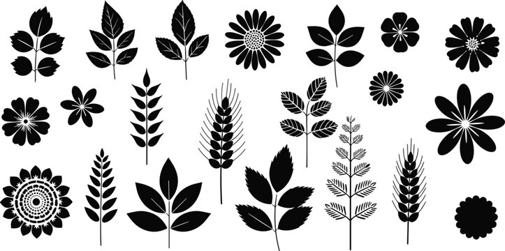 Black botanical silhouettes of diverse leaves, garden flowers, and cereal wheat stalks isolated on white background for decorative nature and floral design elements