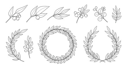 Fototapeta premium Hand drawn sketches of laurel wreaths and botanical branches with berries for classical and natural design elements on white.