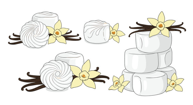 Light and airy marshmallow clouds or meringues paired with delicate vanilla flowers for sweet confectionery and bakery branding.