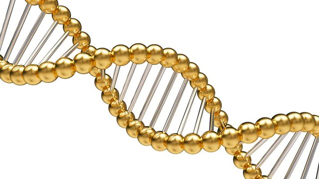 Golden DNA double helix strands twist and move across a white background in a clean scientific 3D animation