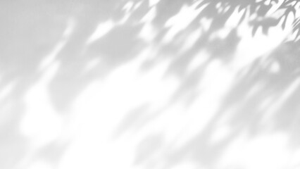 Naklejka na ściany i meble shadow overlay effects of abstract natural tree leaves shadow on wall background,Summer sunlight and shadow overlay effect,branches of a tree shadow,autumn leaves shadow,plants shadow
