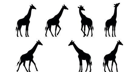 African Giraffe Silhouette Collection Featuring Various Poses Walking Standing and Looking Around for Safari Wildlife Graphic and Nature App Designs © Alexy!