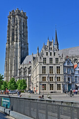 Naklejka premium Malines (Mechelen): la Grote Markt (Piazza del Mercato) e la Cattedrale di San Rombaldo (Sint-Romboutskathedraal), Fiandre, Belgio