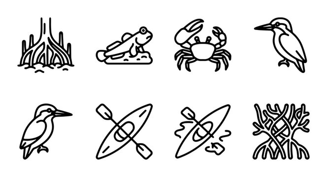 Mangrove Ecosystem Icons: Kayak, Crab, Mudskipper, Kingfisher, Roots, Nature Vector Set