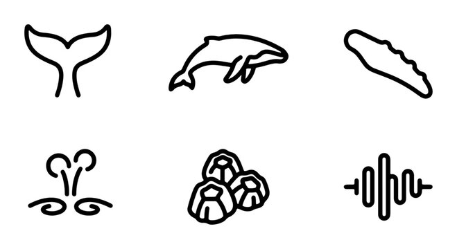 Marine Life Icons: Whale Tail, Dolphin, Barnacles, Sound Waves, Ocean Spray, Vector Art