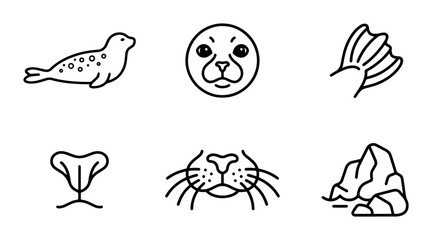 Minimalist Seal Icons, Marine Mammal Vector Graphics, Ocean Wildlife Set, Cute Animal Illustrations © Ahad