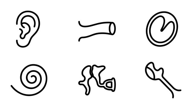 Human Ear Anatomy Icons, Auditory System Vector Graphics, Medical Science Symbols