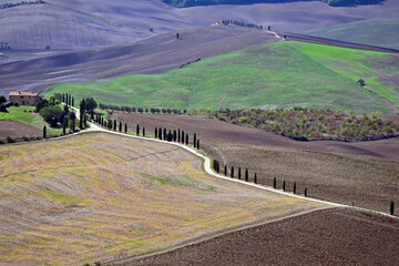 Naklejka premium Pienza, le colline della Val d'Orcia dalla loggia di Palazzo Piccolomini, Val d'Orcia, Toscana