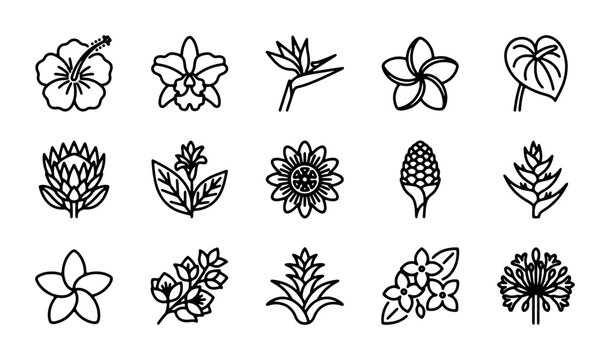 Tropical Flower Icons Set, Exotic Floral Line Art Vector Collection, Botanical Elements for Design
