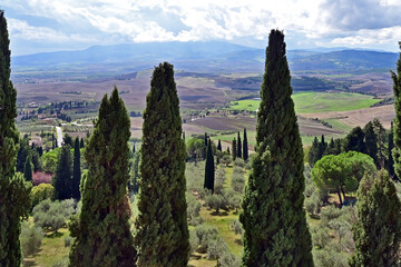 Naklejka premium Pienza, le colline della Val d'Orcia dalla loggia di Palazzo Piccolomini, Val d'Orcia, Toscana