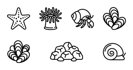 Ocean Life Icons Set: Starfish, Anemone, Hermit Crab, Shells, Rocks, Snail Vector Graphics © Kamrul