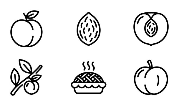 Peach Icons Set, Fruit Vector Graphics, Sweet Pie Illustration, Summer Food Collection