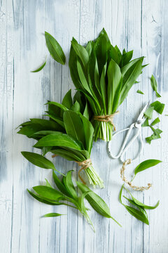 Fresh wild garlic bunches tied with twine on a rustic white wooden table &ndash; bright springtime food photography of seasonal herbs