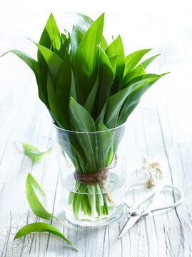 Fresh wild garlic leaves in a glass of water &ndash; bright and natural spring food photography of seasonal herbs in soft daylight