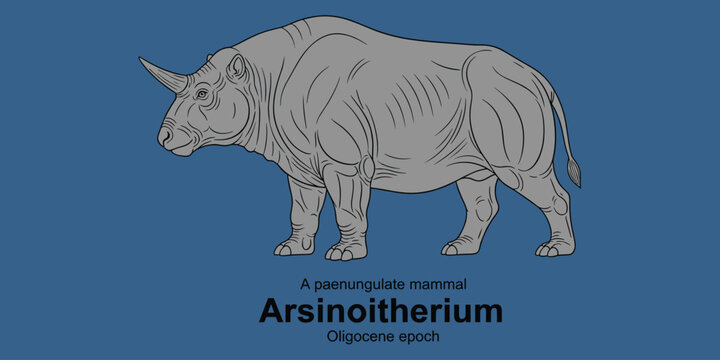 Arsinoitherium a paenungulate mammal illustration from oligocene epoch.