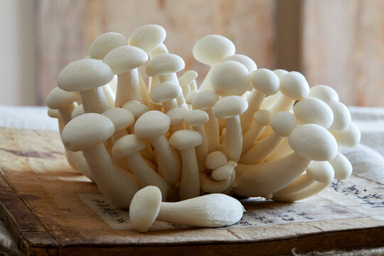 Fresh white shimeji mushroom cluster displayed on a vintage book in soft natural light.