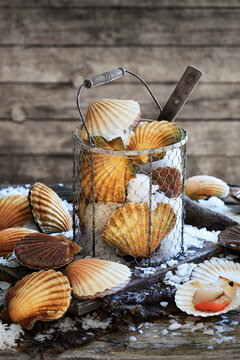 Scallop shells in rustic basket on ice