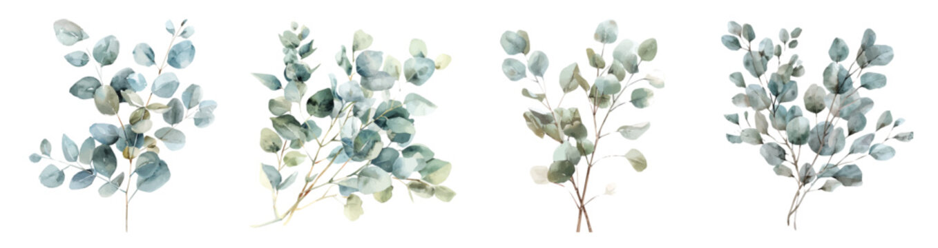 Vector set. Illustration of winter branches and eucaly painting design set, Hand-painted style, vectorized, vector set available in EPS, Simple Hand-painted watercolor style