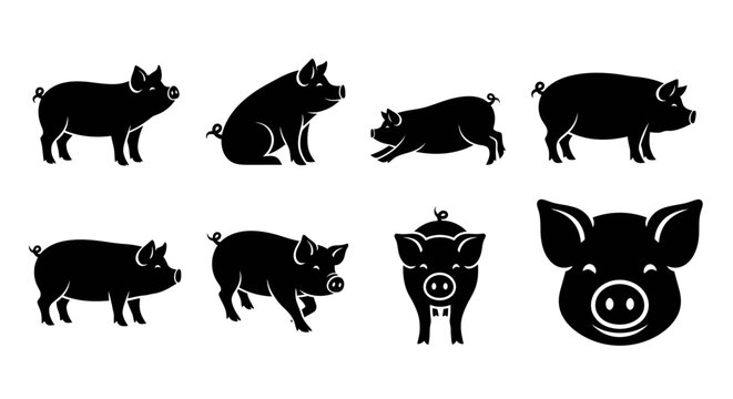 Collection of Pig Icons, Showcasing Various Poses and a Pig Face Silhouette