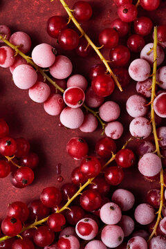 Frozen redcurrants on red background