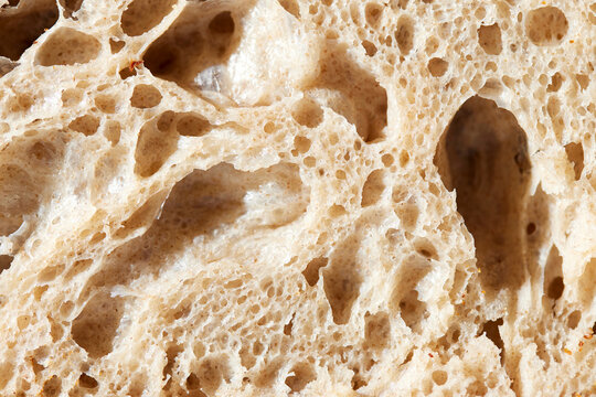 Sourdough Interior Texture